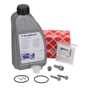 VAICO &Ouml;lwechsel Siebfilter Set + BORGWARNER 850mL &Ouml;l f&uuml;r VAG Haldex-Kupplung Gen 5