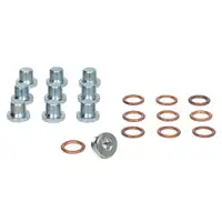 10x CARIPAR &Ouml;lablassschraube + Dichtring f&uuml;r FORD Focus 2 C-Max Galaxy S-Max 2.0 TDCi