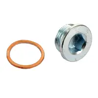 CARIPAR Ölablassschraube M22x15 + Dichtring für ALFA ROMEO CITROEN FIAT FORD JEEP PEUGEOT