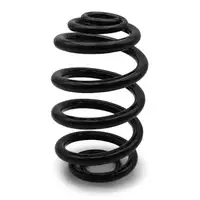 BILSTEIN B3 38-228599 Fahrwerksfeder Feder f&uuml;r BMW X3 ohne M-Technik hinten 33533413081