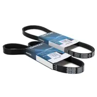 2x DAYCO Keilrippenriemen LIMA+KLIMA f&uuml;r FORD Focus 2 3 C-Max DM2 VOLVO C30 S40 2 V50 1.6