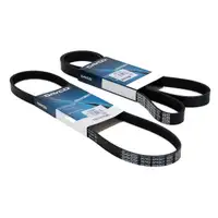 2x DAYCO Keilrippenriemen LIMA+KLIMA f&uuml;r BMW 3er E36 320-328i 5er E34 E39 520-528i M50 M52