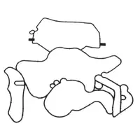 ELRING 122.472 Dichtung Geh&auml;usedeckel Kurbelgeh&auml;use f&uuml;r AUDI A4 A5 A6 A7 Touareg 3.0 TDI