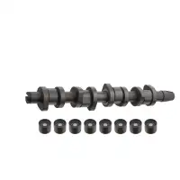 febi 33197 Nockenwelle + Ventilst&ouml;&szlig;el Satz f&uuml;r AUDI A4 B6 B7 VW Passat 3B3 3B6 1.9/2.0 TDI