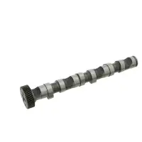 febi 26980 Nockenwelle f&uuml;r VW Passat B5 B5.5 AUDI A4 B5 B6 A6 C5 A8 D2 2.5 TDI links