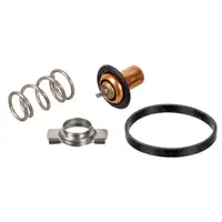 febi 173111 Thermostat + Dichtung + Dichtring f&uuml;r FIAT Ducato 250 115 Multijet 2.0D 116 PS