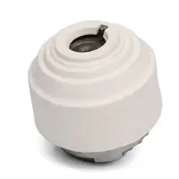 2x LEMF&Ouml;RDER 2540201 Motorlager f&uuml;r MERCEDES W211 E500 W220 C209 C219 W221 R171 vorne