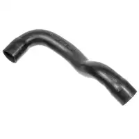 MEYLE K&uuml;hlerschlauch Wasserschlauch f&uuml;r BMW 3er E36 316 318 unten 11531247203