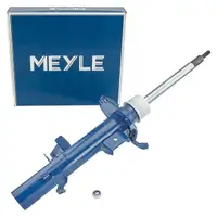 MEYLE 53-266230004 Sto&szlig;d&auml;mpfer Federbein Gasdruck f&uuml;r LAND ROVER Freelander 2 vorne rechts