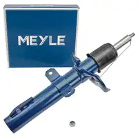 MEYLE 7266230056 Sto&szlig;d&auml;mpfer Federbein f&uuml;r FORD Tourneo Transit Custom V362 Vorderachse