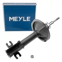 MEYLE 2266230007 Shock Absorber Strut for FIAT Punto 176_ Front 71716547