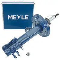 MEYLE 2266230026 Sto&szlig;d&auml;mpfer Federbein f&uuml;r FIAT 500L vorne l rechts 51890112