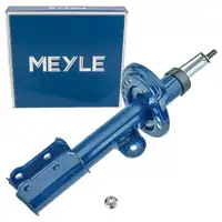 MEYLE 2266230027 Sto&szlig;d&auml;mpfer Federbein f&uuml;r FIAT 500X JEEP Renegade vorne links