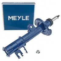 MEYLE 2267230002 Sto&szlig;d&auml;mpfer Federbein f&uuml;r FIAT 500X 334 JEEP Renegade SUV hinten links