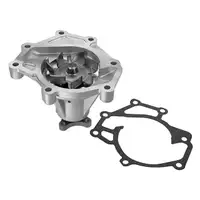 MEYLE 28-132200001 Wasserpumpe f&uuml;r KIA Sorento 1 HYUNDAI H-1 TQ A1 2.5 CRDi M251004A000