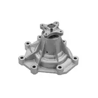 MEYLE 28-132200001 Wasserpumpe f&uuml;r KIA Sorento 1 HYUNDAI H-1 TQ A1 2.5 CRDi M251004A000