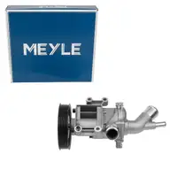 MEYLE 3132200003 Wasserpumpe f&uuml;r MINI R50 R52 W10 FIAT 500X 334 1.6 JEEP Renegade 1.6