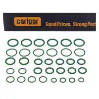 CARIPAR Dichtringsatz Klimaanlage f&uuml;r RENAULT Laguna 3 Megane 3 Grand Scenic 3 924750001R