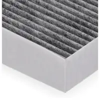 CHITAO Innenraumfilter Pollenfilter Aktivkohlefilter f&uuml;r BYD Han EV 13033900-00