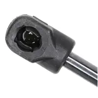 CHITAO CT111655 Gasfeder Kofferraum Heckklappend&auml;mpfer f&uuml;r MG ZS SUV AZS1 10316252