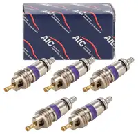 5x AIC Ventil Klimakreislauf f&uuml;r BMW 1er 3er 5er VW Golf 5-8 MINI R/F55-60 AUDI A3 A4 A6