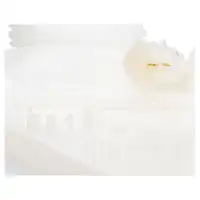 ORIGINAL MINI Ausgleichsbeh&auml;lter Bremsfl&uuml;ssigkeit + Deckel R50 R53 R2 34336756235