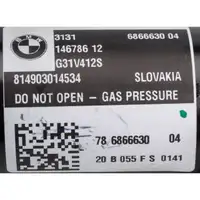 Shock absorber for BMW 5 Series G31 518-525d, 520/530i, M suspension, front right, 31316866630