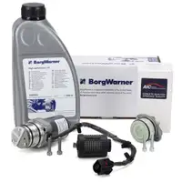 BORGWARNER Pumpe Haldex Vorladepumpe + &Ouml;lfilter + 850ml &Ouml;l f&uuml;r VW Golf 6 Passat B7 T5 T6