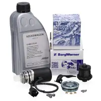 BORGWARNER Pumpe Haldex Vorladepumpe + &Ouml;lfilter 850mL &Ouml;l f&uuml;r VW Multivan Transporter T5