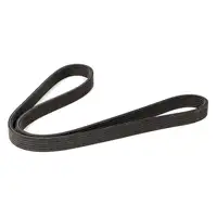 DAYCO 6DPK1195 Keilrippenriemen + INA Spanner f&uuml;r VW Golf 4 Sharan A3 8L1 Leon 1M 1.9 TDI