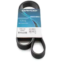 DAYCO 6PK1155 Keilrippenriemen f&uuml;r BMW CITROEN FIAT FORD OPEL PEUGEOT RENAULT SEAT VW