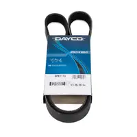 DAYCO 6PK1173 Keilrippenriemen f&uuml;r AUDI BMW CITROEN MINI NISSAN RENAULT TOYOTA