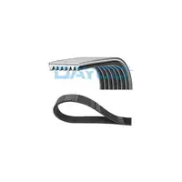 DAYCO 7PK1076 Keilrippenriemen f&uuml;r FIAT Ducato 244 250 2.3 DIESEL 500388408