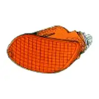 DIEDERICHS 1415070 Blinkleuchte Blinker orange f&uuml;r FORD Focus 1 vorne rechts 1215917