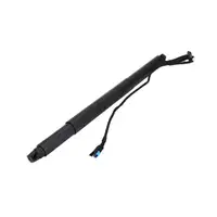 DIEDERICHS Heckklappend&auml;mpfer elektrisch f&uuml;r BMW X6 F16 F86 hinten links 51247434043