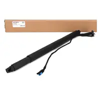 DIEDERICHS Heckklappend&auml;mpfer elektrisch f&uuml;r BMW X6 F16 F86 hinten links 51247434043