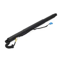 DIEDERICHS 9100619 Heckklappend&auml;mpfer Gasfeder elektrisch f&uuml;r BMW X4 rechts 51247339432