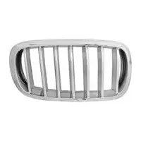 DIEDERICHS L&uuml;ftungsgitter K&uuml;hlergrill grau/silber f&uuml;r BMW X5 F15 rechts 51117303108