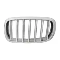 DIEDERICHS L&uuml;ftungsgitter K&uuml;hlergrill grau/silber f&uuml;r BMW X5 F15 links 51117303107