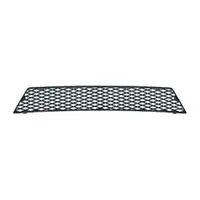 DIEDERICHS 1404240 L&uuml;ftungsgitter Frontsto&szlig;f&auml;nger f&uuml;r FORD Fiesta 5 ST150 mitte 1342372