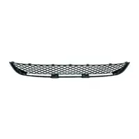 DIEDERICHS L&uuml;ftungsgitter Frontsto&szlig;f&auml;nger f&uuml;r MERCEDES Sprinter 906 3-5t mitte 9068850053