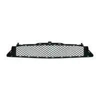 DIEDERICHS Front Bumper Vent Grille for MERCEDES-BENZ W246 and W242 (up to October 2014, center)