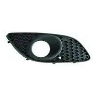 DIEDERICHS L&uuml;ftungsgitter Frontsto&szlig;f&auml;nger f&uuml;r OPEL Zafira / Family B rechts 13263118