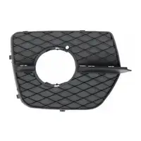 DIEDERICHS 1295248 L&uuml;ftungsgitter Frontsto&szlig;f&auml;nger f&uuml;r BMW X6 E71 E72 rechts 51117188384