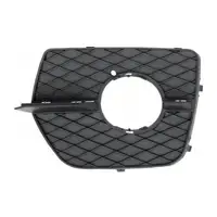 DIEDERICHS Abdeckung Blende Nebelscheinwerfer f&uuml;r BMW X6 E71 vorne links 51117188383