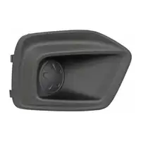 DIEDERICHS L&uuml;ftungsgitter Frontsto&szlig;f&auml;nger f&uuml;r FIAT Fiorino 225 ab 09.2016 rechts 735643541