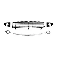 DIEDERICHS L&uuml;ftungsgitter Frontsto&szlig;f&auml;nger f&uuml;r RENAULT Grand / Scenic 2 mitte 7701477303