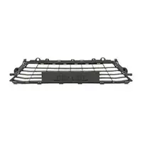 DIEDERICHS 4467045 L&uuml;ftungsgitter Frontsto&szlig;f&auml;nger f&uuml;r RENAULT Megane 4 mitte 622542307R