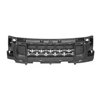 DIEDERICHS 4014845 L&uuml;ftungsgitter Frontsto&szlig;f&auml;nger f&uuml;r CITROEN Berlingo mitte 9816749880