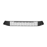 DIEDERICHS L&uuml;ftungsgitter Frontsto&szlig;f&auml;nger f&uuml;r SKODA Fabia 4 PJ3 vorne mitte 6VA853677 9B9